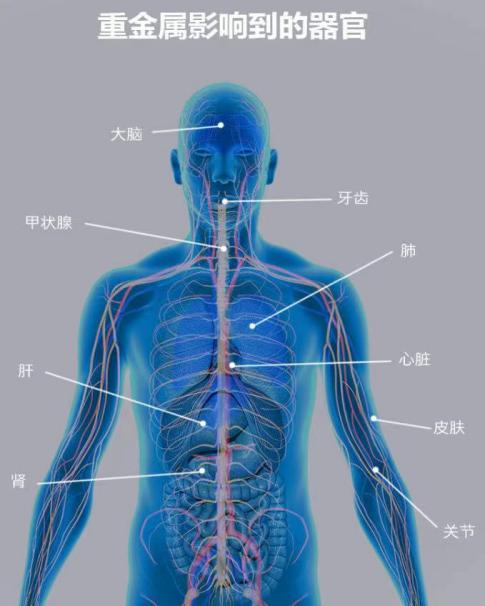 Ledger官方网站-全球当先的数字钱币硬件钱包